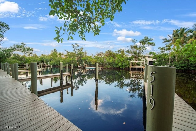 dock area featuring a water view