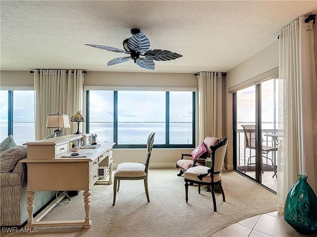 office featuring light carpet, a water view, and a healthy amount of sunlight