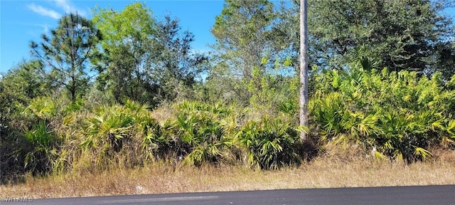 2020 Monroe Ave, Alva FL, 33920 land for sale