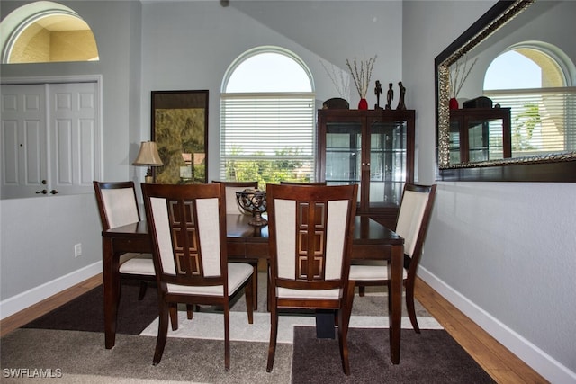 dining room with lofted ceiling, plenty of natural light, and wood-type flooring