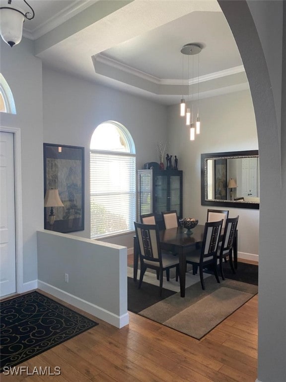 dining room featuring a tray ceiling, ornamental molding, and hardwood / wood-style flooring