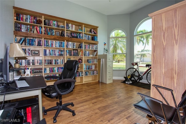 office featuring hardwood / wood-style floors