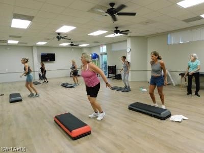 exercise room featuring ceiling fan, hardwood / wood-style flooring, and a drop ceiling