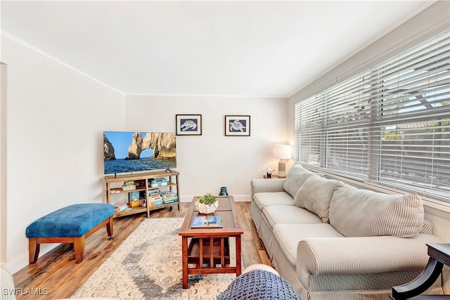 living room with light wood-type flooring and crown molding