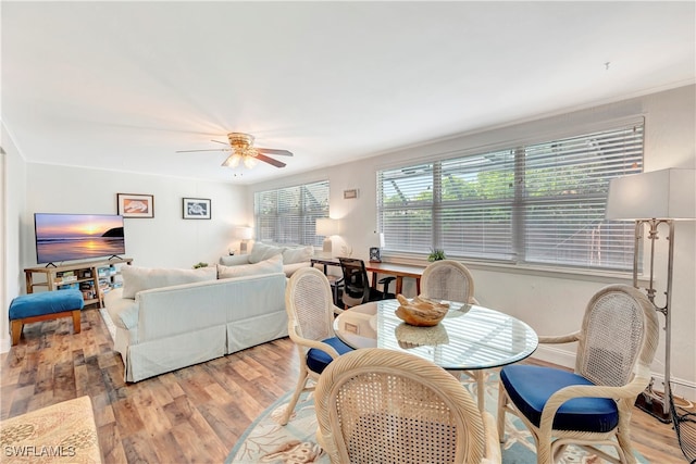 dining room with ceiling fan and light wood-type flooring