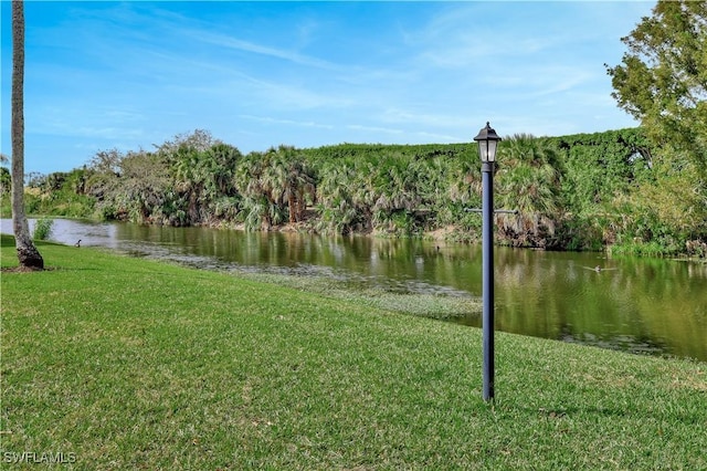 view of water feature with a wooded view