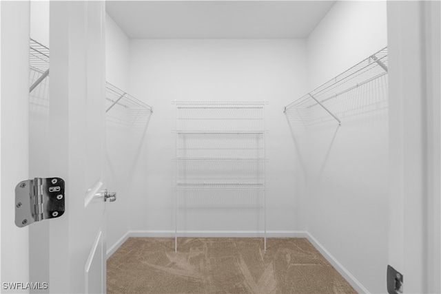 walk in closet with carpet