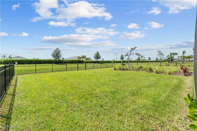 view of yard with a rural view