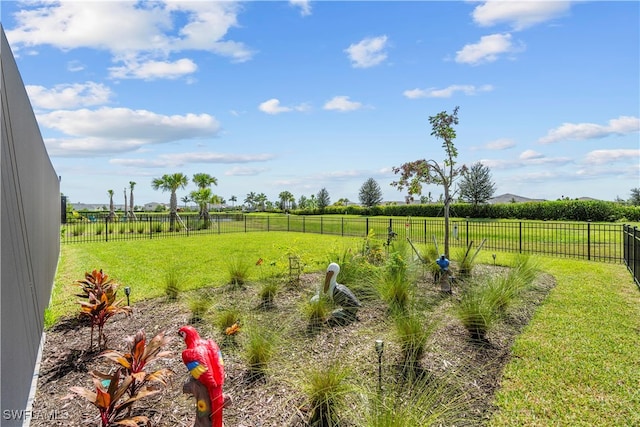 view of yard featuring a rural view