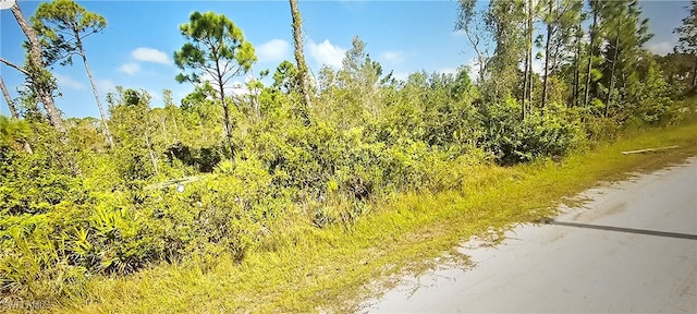 Listing photo 3 for 12147 Platano Dr, Punta Gorda FL 33955