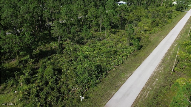 1115 Chiefland St E, Lehigh Acres FL, 33974 land for sale