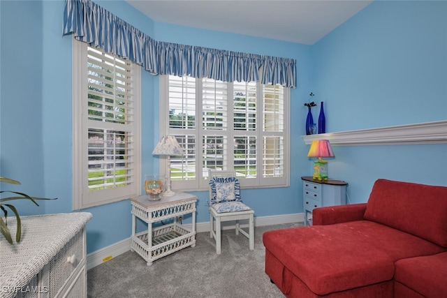 sitting room featuring carpet flooring