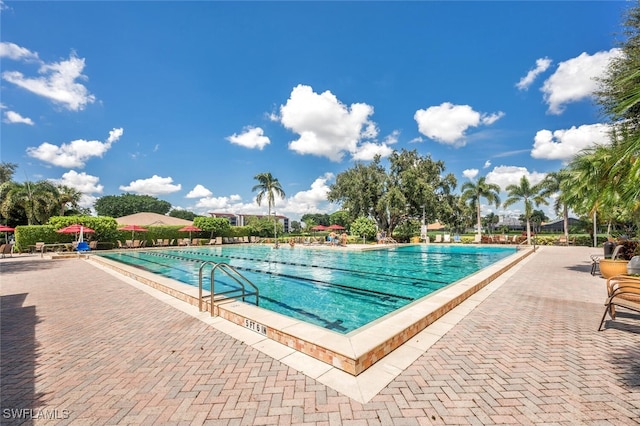 view of pool with a patio area