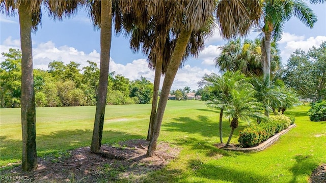 view of property's community with a yard