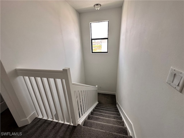 staircase featuring carpet flooring