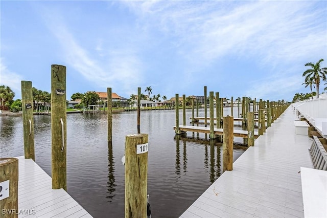 dock area with a water view