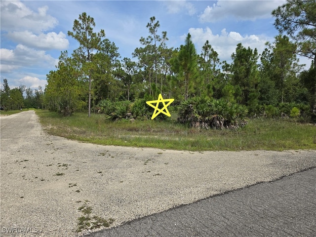 315 Murphy Ave, Lehigh Acres FL, 33972 land for sale