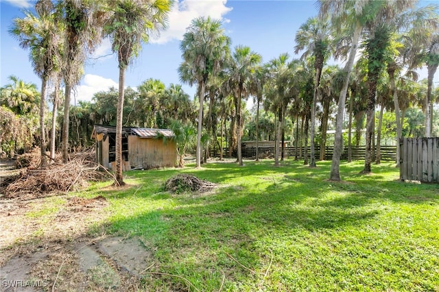 view of yard with a shed