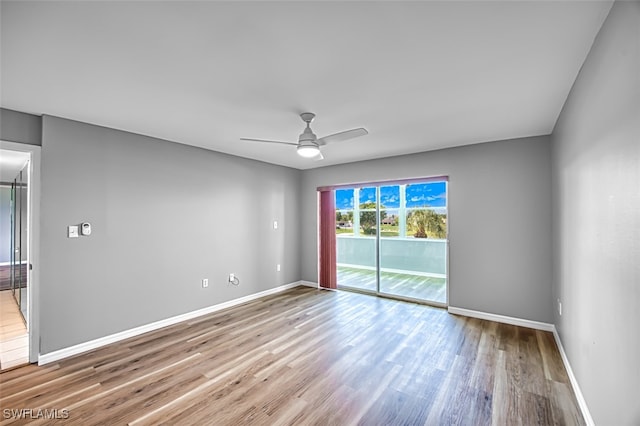 unfurnished room with ceiling fan and light wood-type flooring