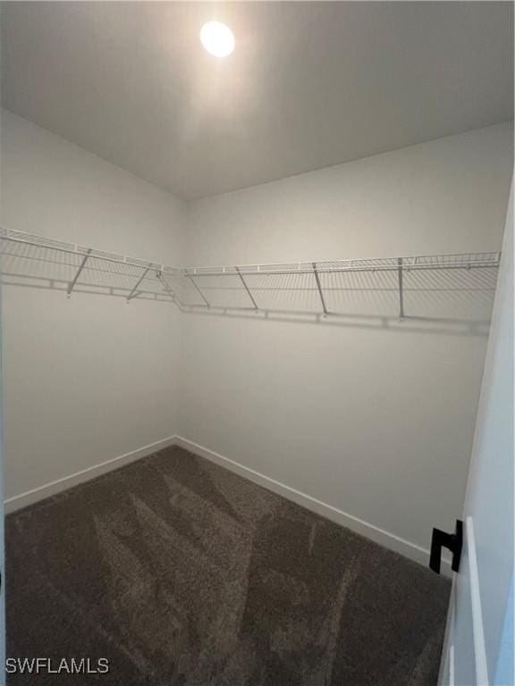 spacious closet featuring dark carpet