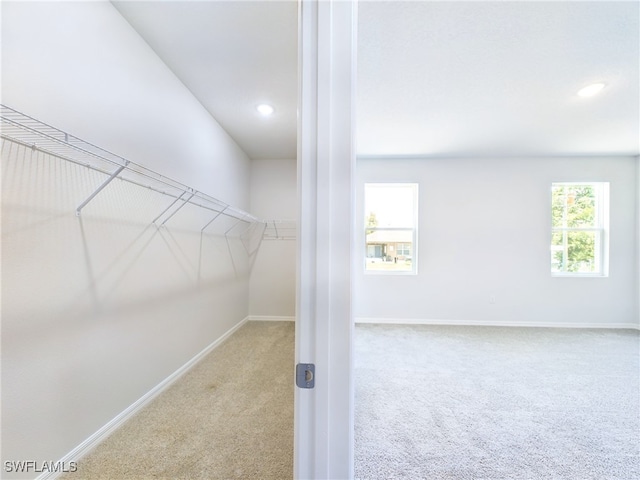 walk in closet featuring light carpet