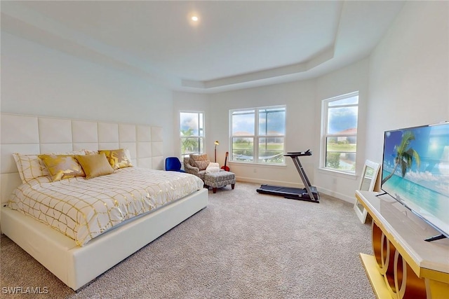 carpeted bedroom featuring baseboards and a raised ceiling