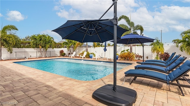 view of swimming pool with a patio