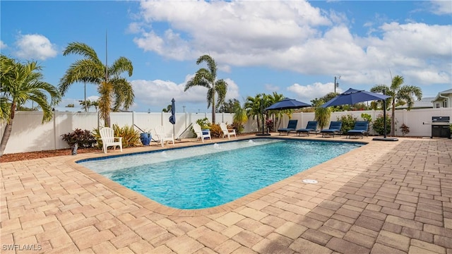 1013 SW 4th Pl, Cape Coral, FL 33991 - view of swimming pool with a patio area and a fenced backyard