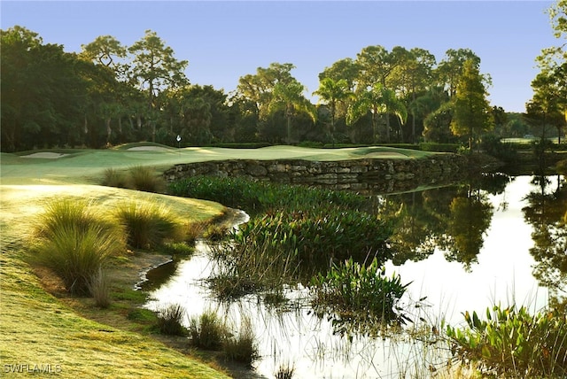 view of community with a lawn and golf course view