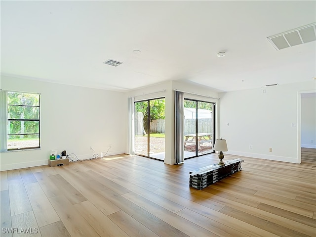 spare room with light hardwood / wood-style floors and plenty of natural light