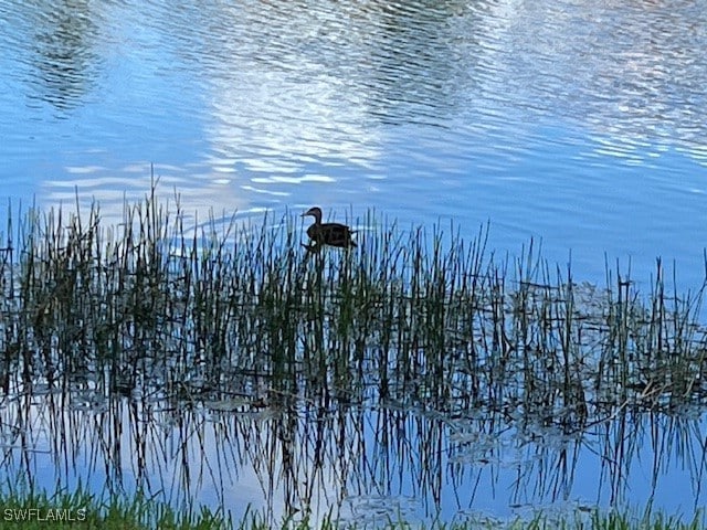 water view