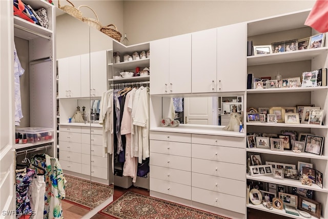 spacious closet with wood-type flooring