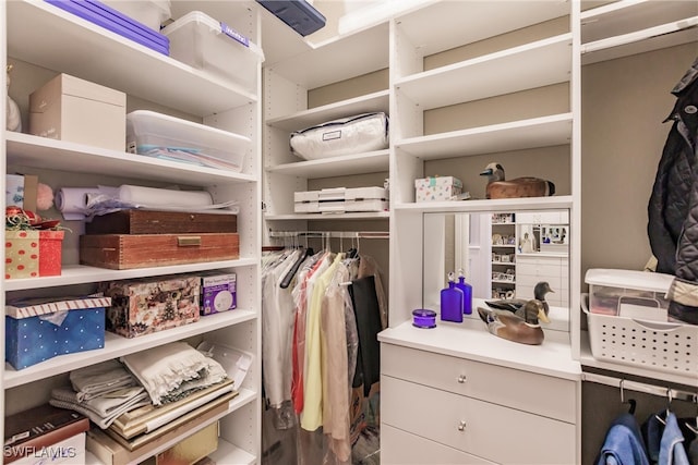 view of spacious closet