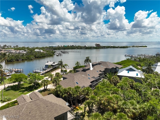 aerial view with a water view