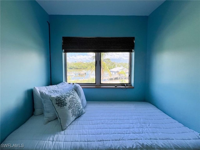 bedroom with multiple windows