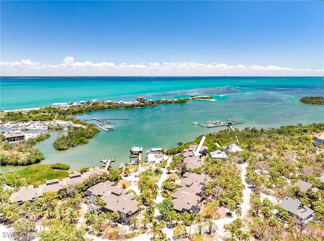 aerial view of residential area with a large body of water