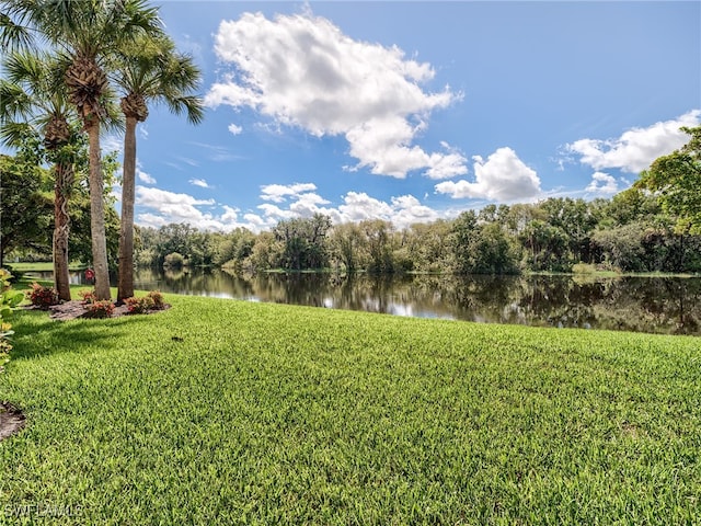 view of yard with a water view