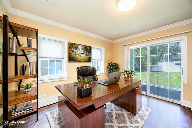 office space featuring crown molding and dark hardwood / wood-style floors