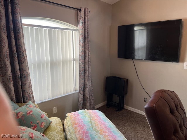 bedroom with carpet floors