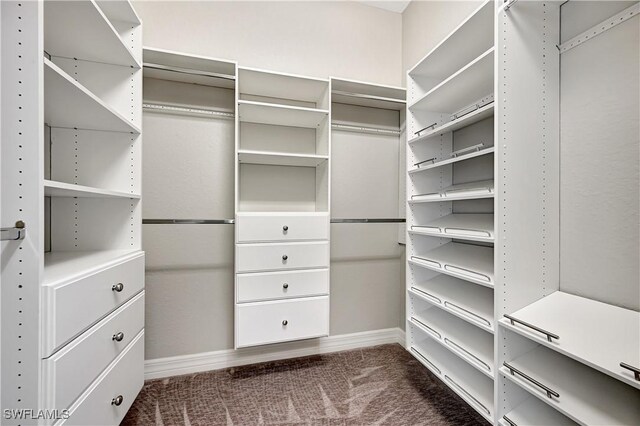 walk in closet with dark carpet