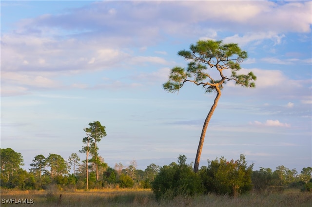 508 Canton Ave, Lehigh Acres FL, 33972 land for sale