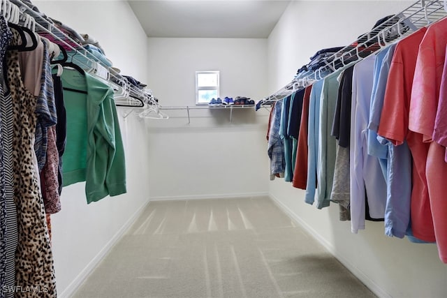 spacious closet featuring carpet flooring