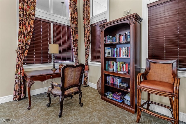 view of carpeted office