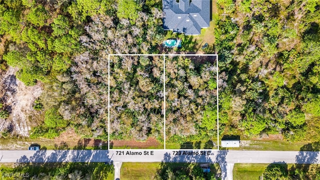 723 Alamo St E, Lehigh Acres, FL 33974