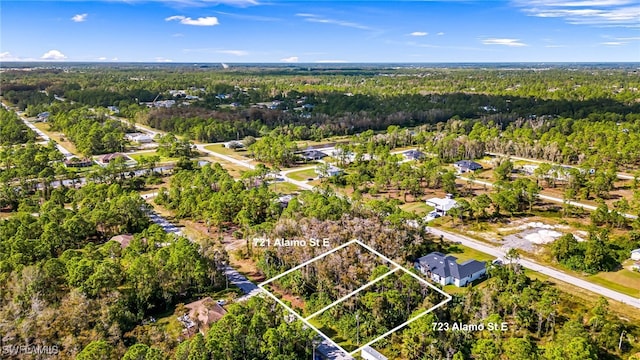 723 Alamo St E, Lehigh Acres, FL 33974