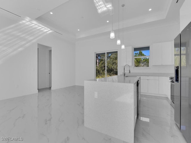 bathroom featuring a raised ceiling, sink, and ornamental molding