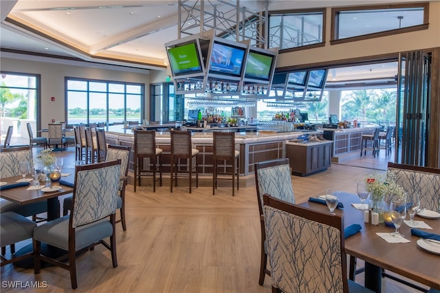 dining space with plenty of natural light and a raised ceiling