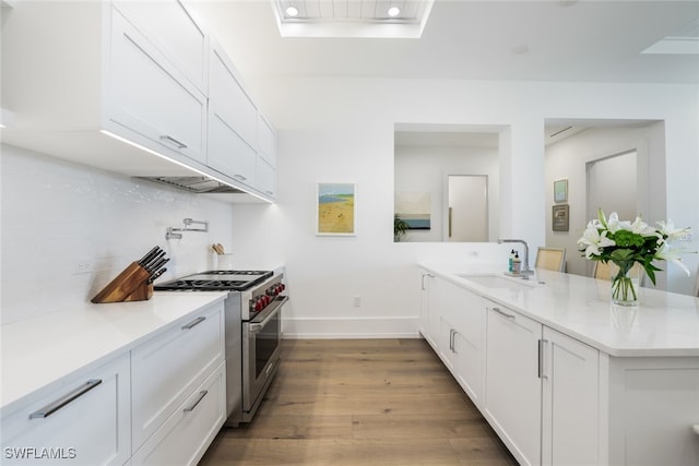 kitchen featuring stainless steel range, tasteful backsplash, light countertops, a sink, and wood finished floors