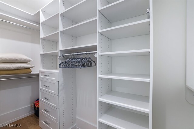 walk in closet with hardwood / wood-style flooring