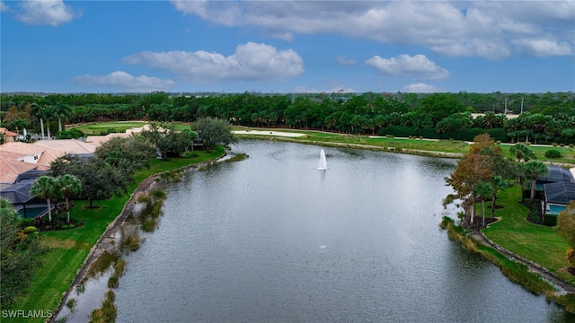 view of water feature